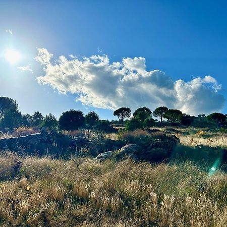 Casa Rural, “El Andador” El Hoyo de Pinares エクステリア 写真
