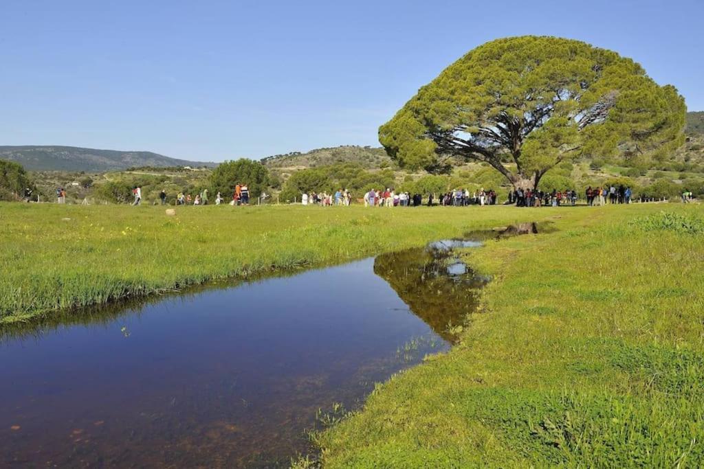 Casa Rural, “El Andador” El Hoyo de Pinares エクステリア 写真