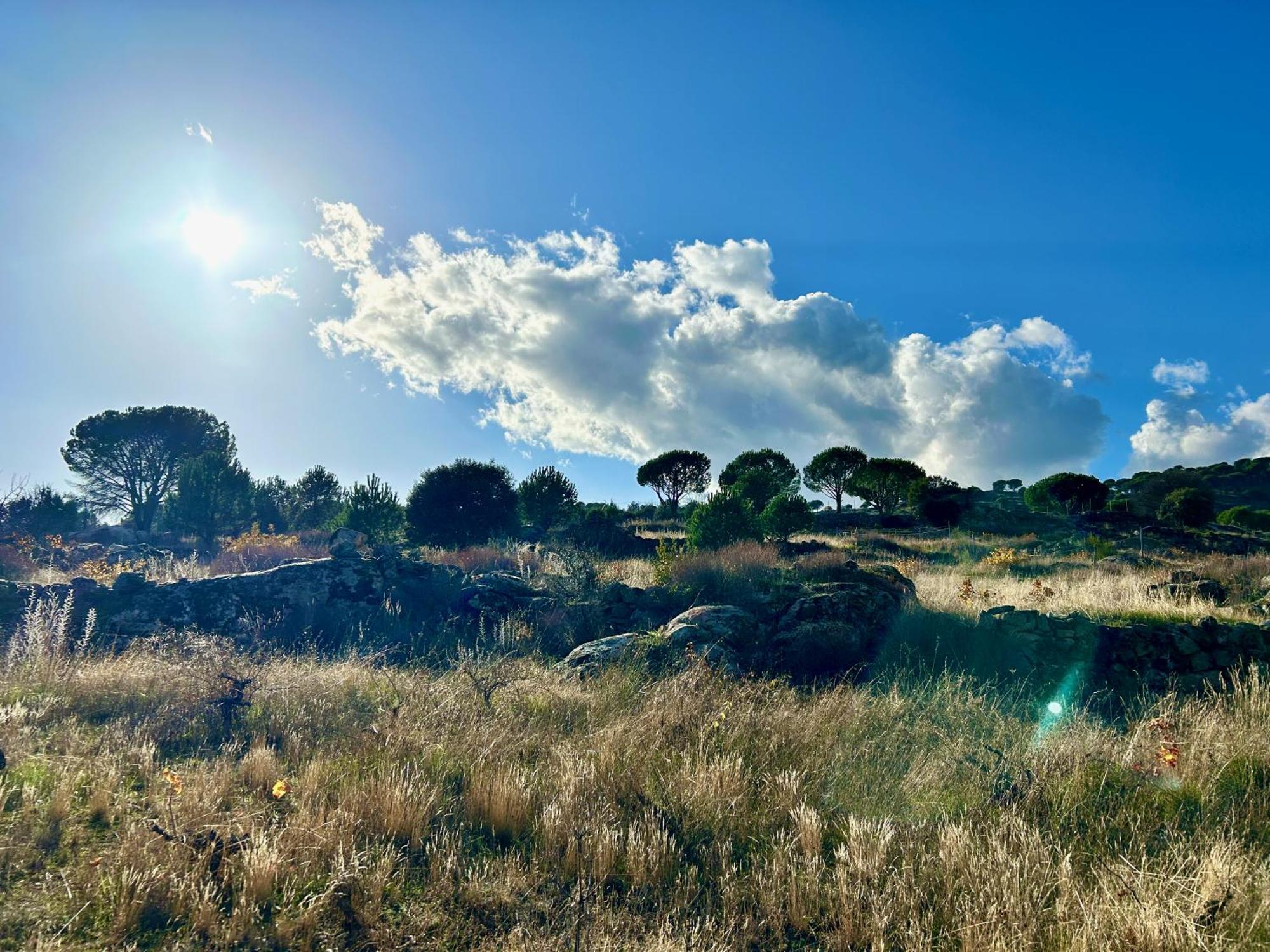 Casa Rural, “El Andador” El Hoyo de Pinares エクステリア 写真